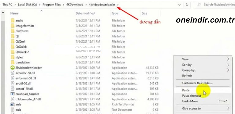 4k Video Downloader Full Indir