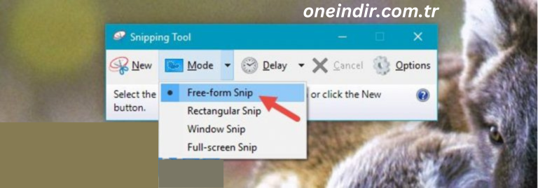 Snipping Tool Indir