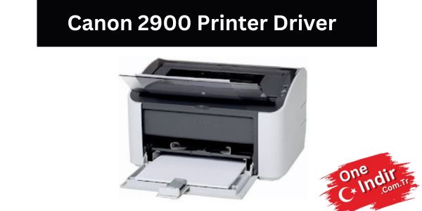 Canon 2900 Printer