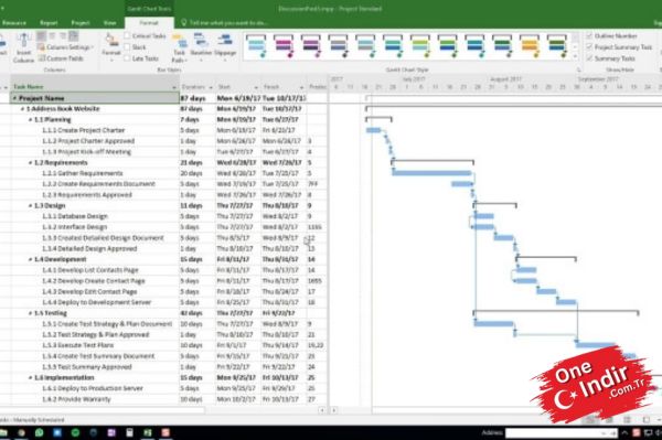 Mircrosoft Project 2019