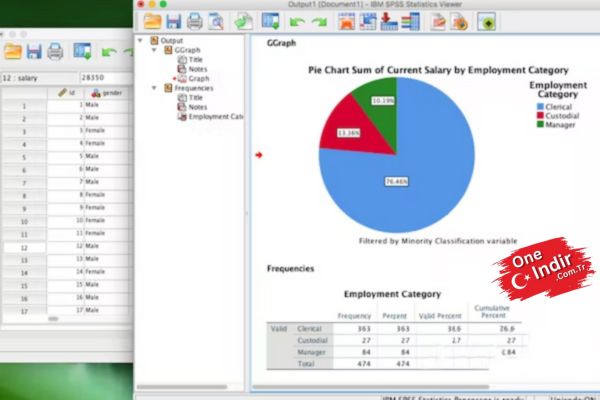 SPSS 27 Indir 