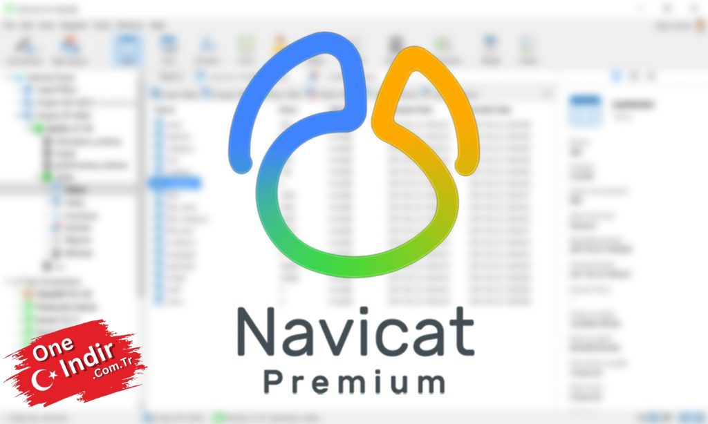 Navicat Premium 15 Crack 