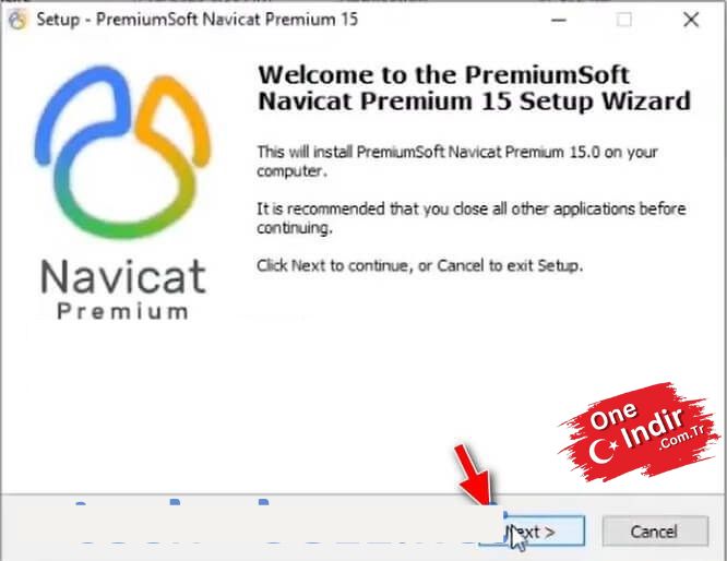 Navicat Premium 15 Crack 