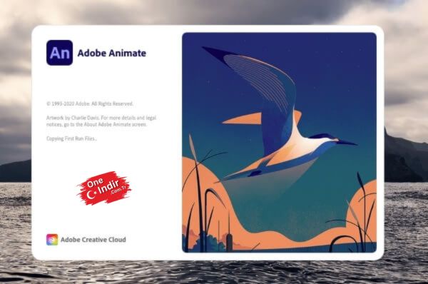 Adobe Animate CC Indir