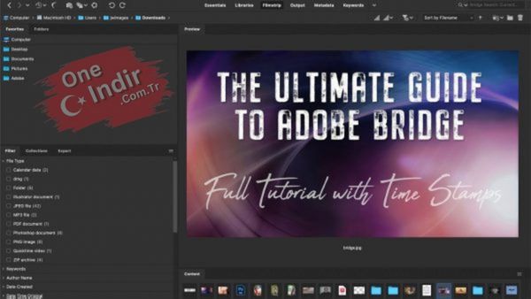 Adobe Bridge 2023 Free Download