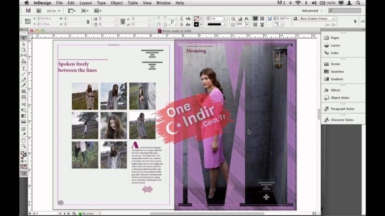 Adobe Indesign CS6 Indir