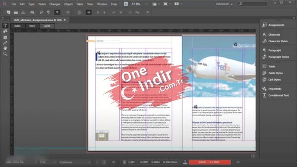 Adobe InCopy 2023 Indir