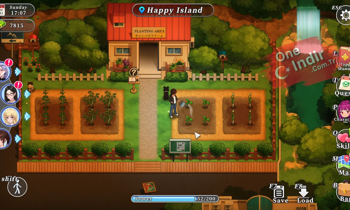 Happy Island Fantasy Oyunu indir