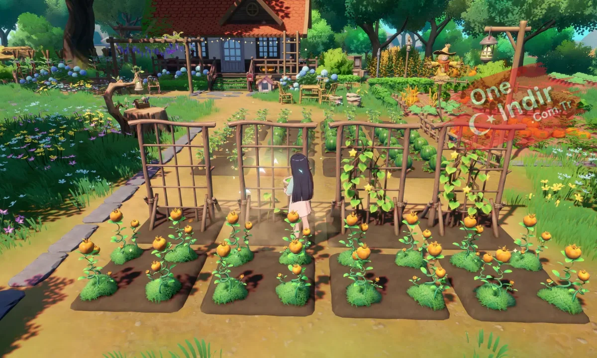 StarSand Island Full PC Türkçe