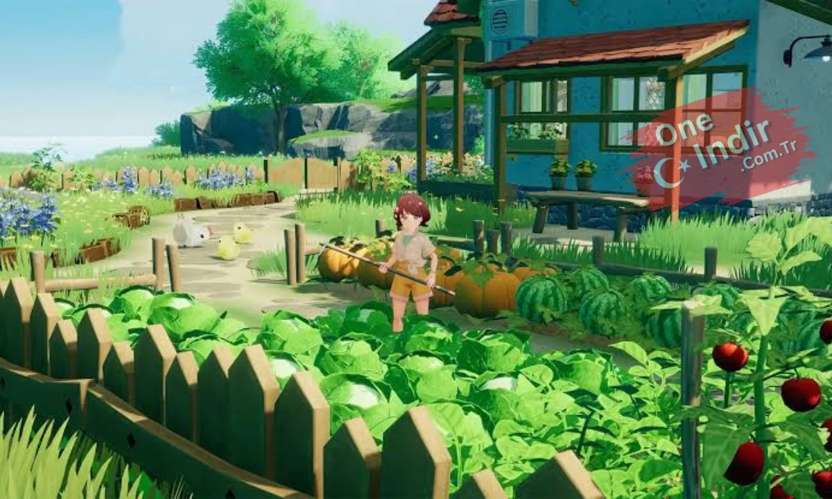 StarSand Island Full PC Türkçe