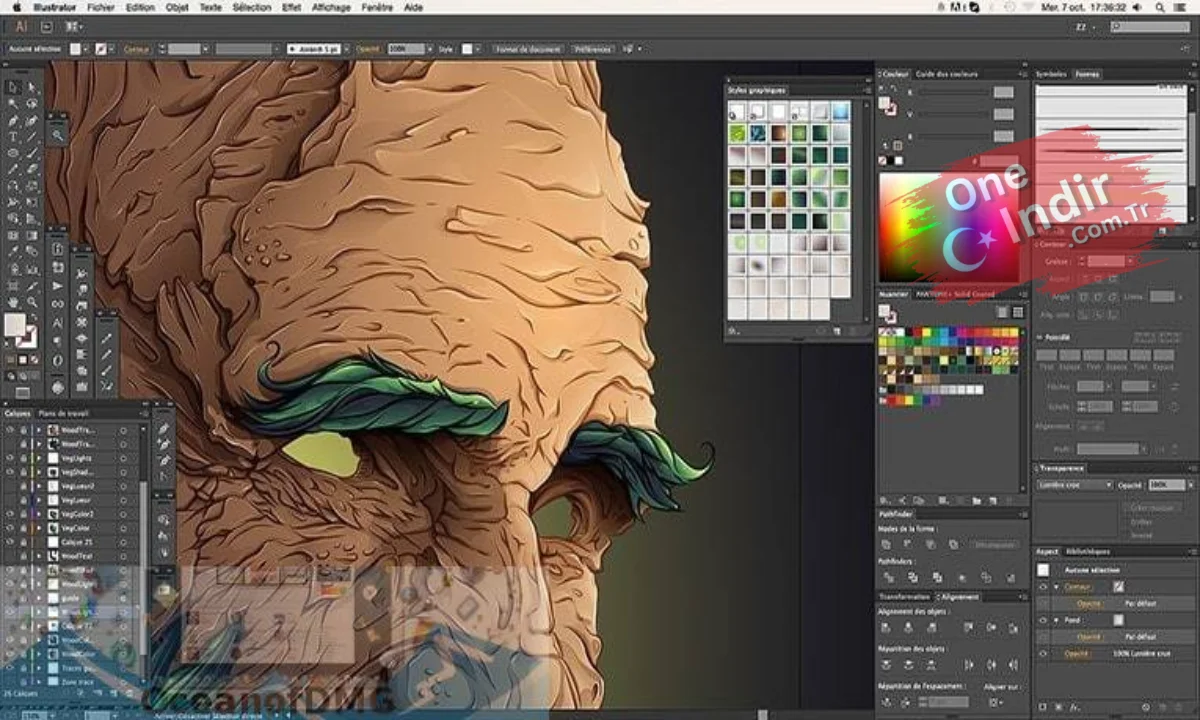 CorelDRAW Graphics Suite 11 Full PC Türkçe