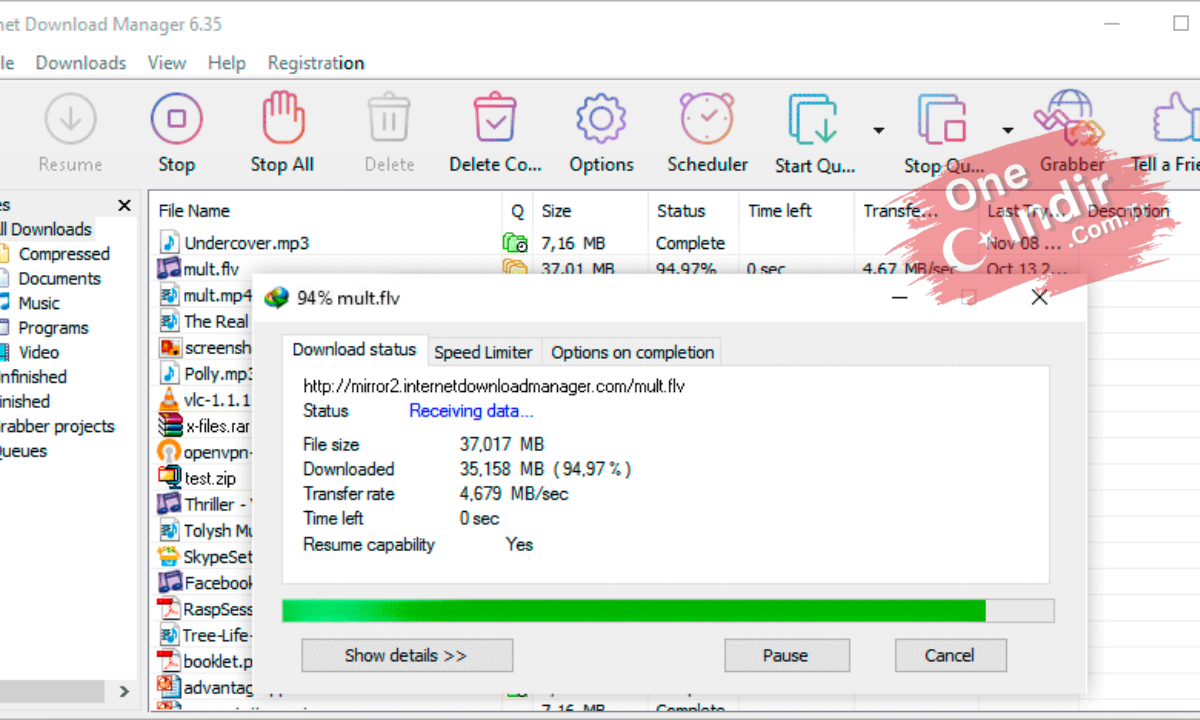 Internet Download Manager Full PC Türkçe