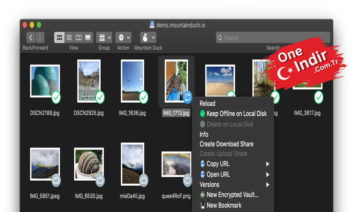 Mountain Duck Full PC Türkçe