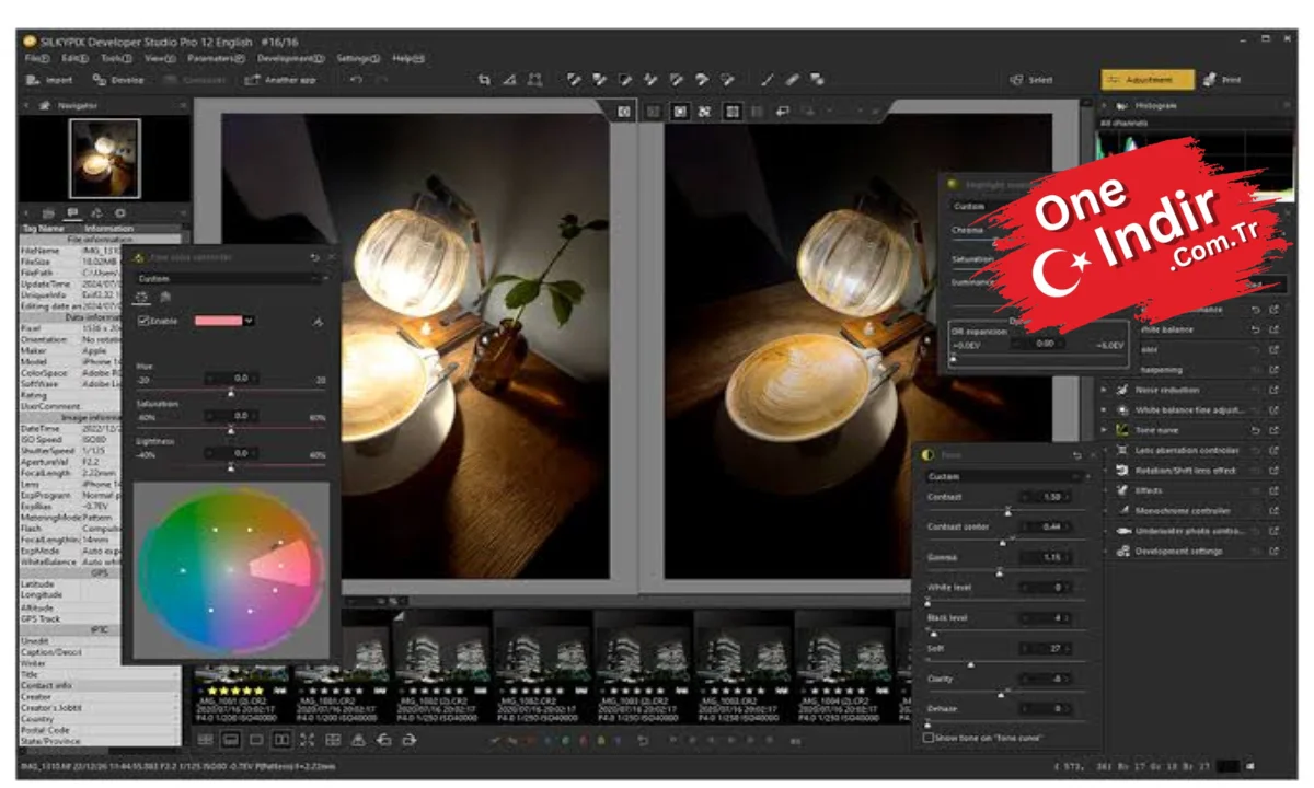 SilkyPix Developer Studio Pro PC Türkçe