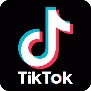 TikTok Downloader