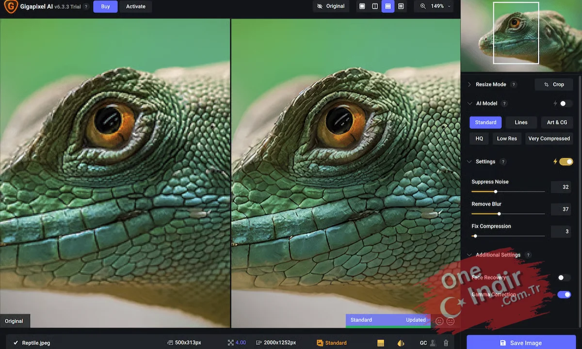 Topaz Gigapixel AI Full Indir