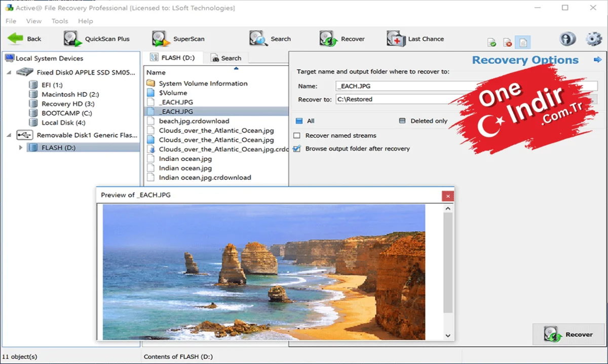 Active File Recovery PC Türkçe