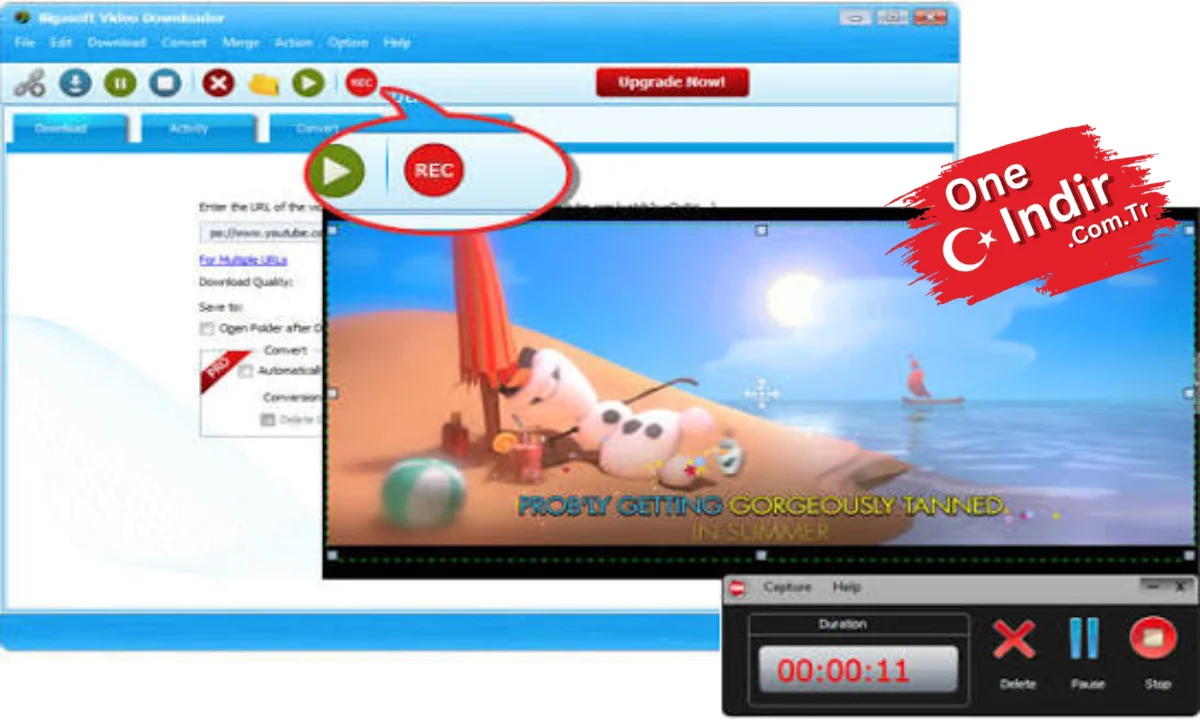 Bigasoft Video Downloader Pro PC Türkçe