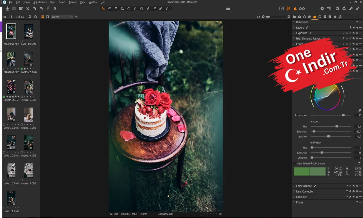 Capture One Pro PC Türkçe