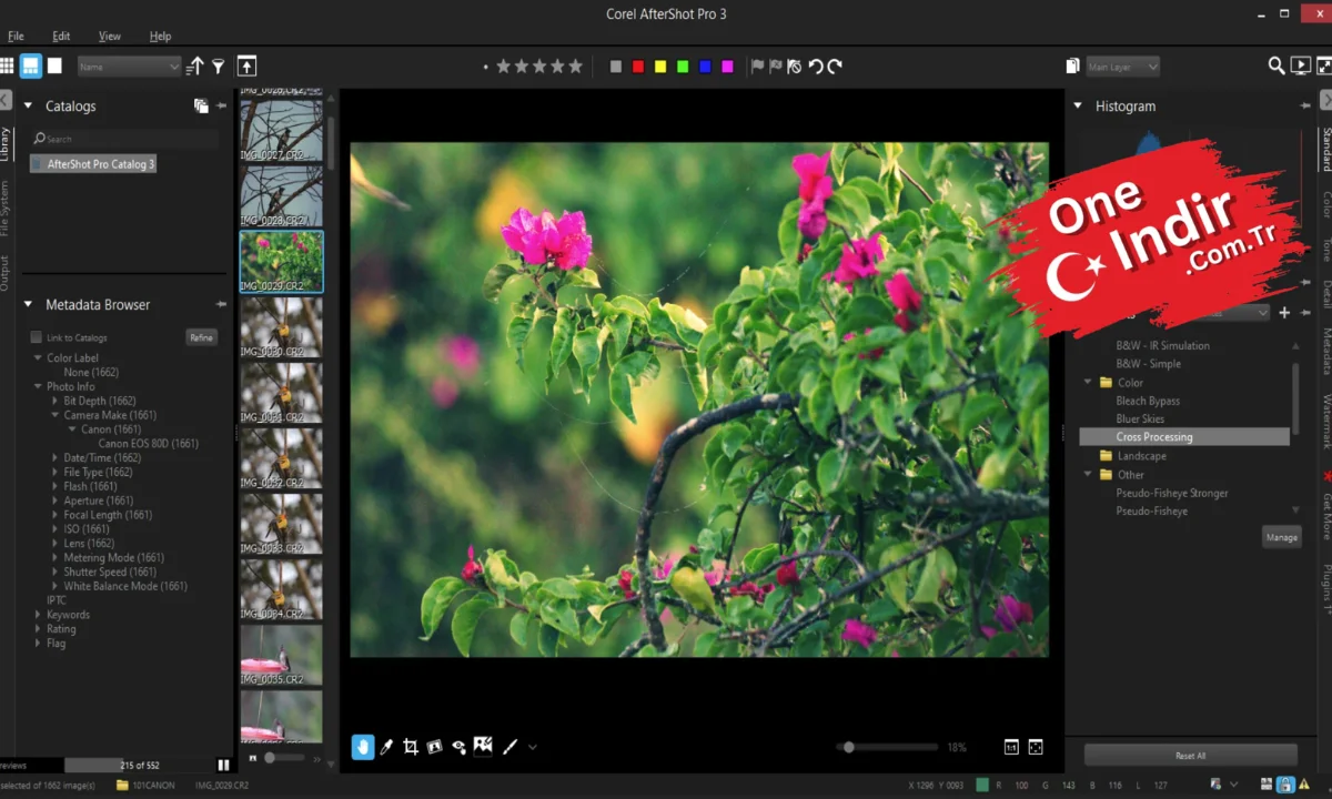 Corel AfterShot Pro PC Türkçe