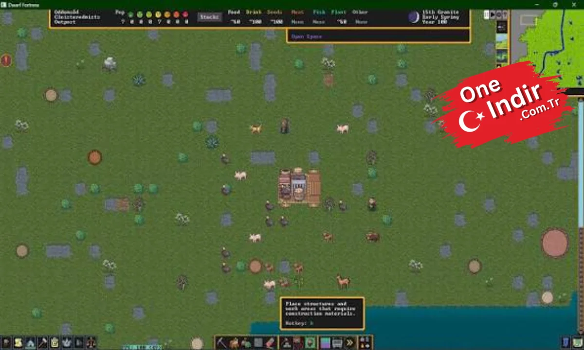 Dwarf Fortress PC Türkçe