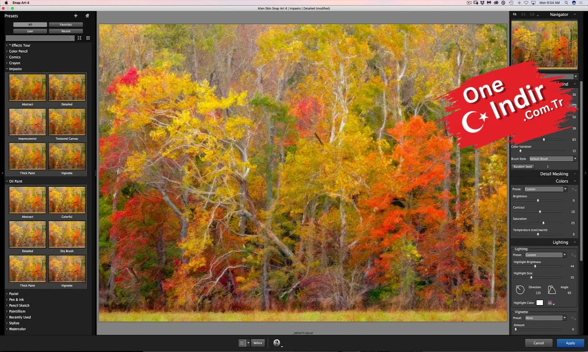 Exposure Software Snap Art PC Türkçe