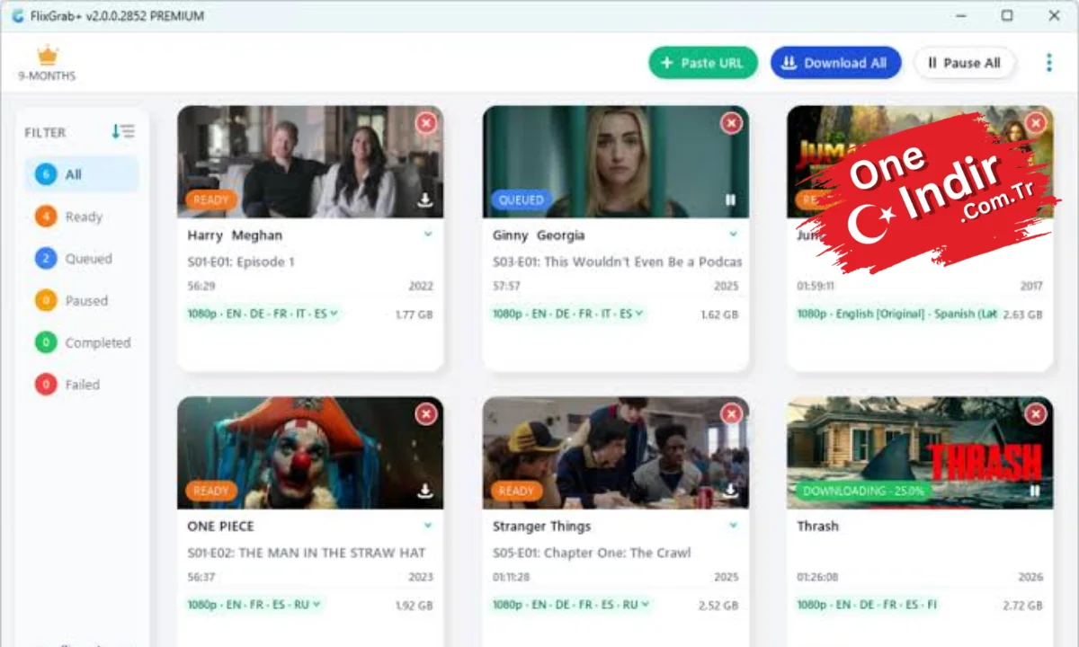 FlixGrab Premium Plus PC Türkçe