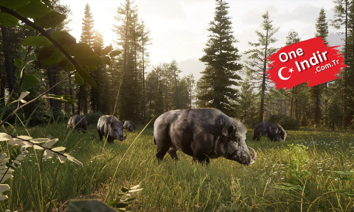 Way of the Hunter 2 PC Türkçe