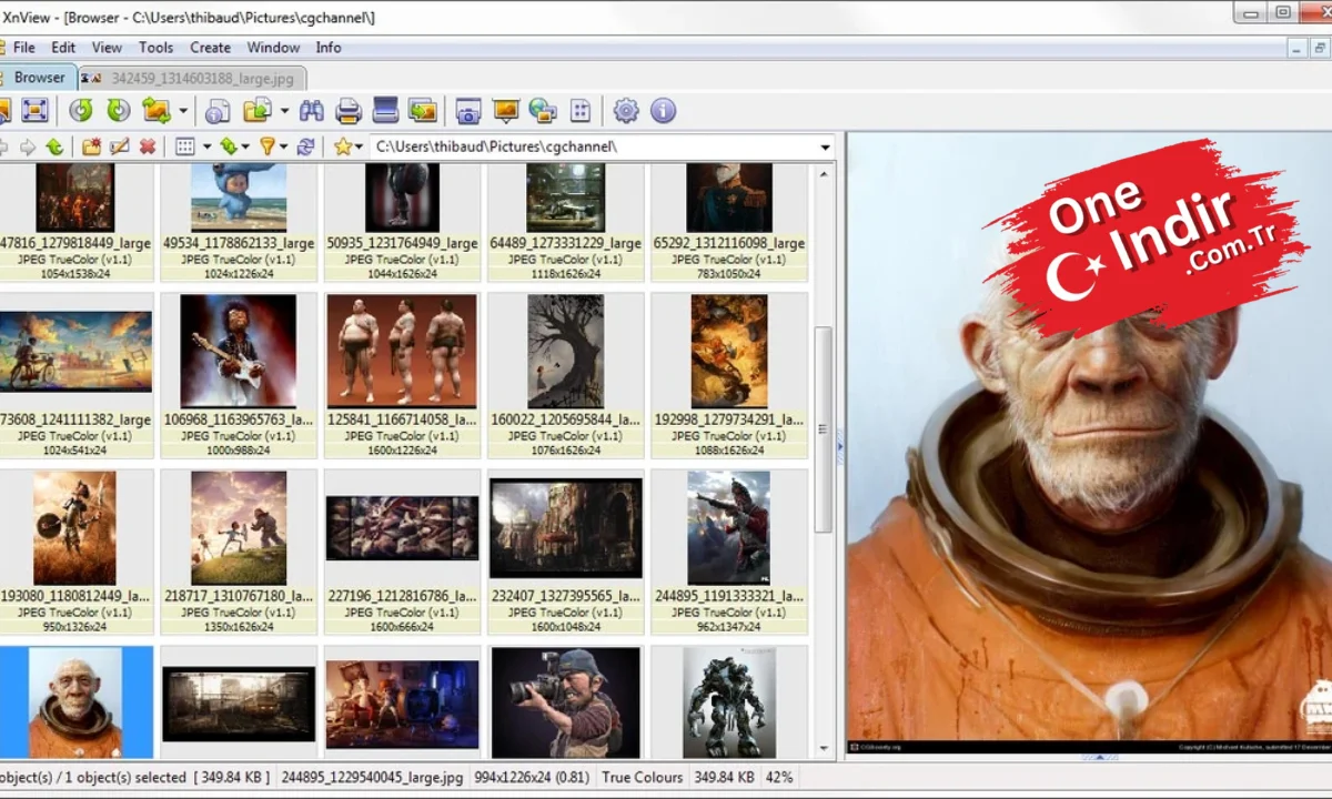 XNView PC Türkçe